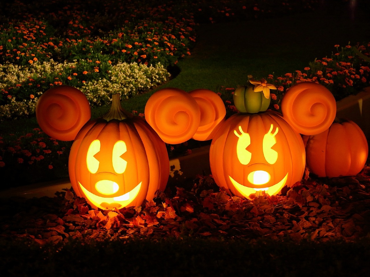 ハロウィン ジャック オー ランタン 作り 西宮 芦屋でリフォーム リノベーションの事ならrirsiaへ