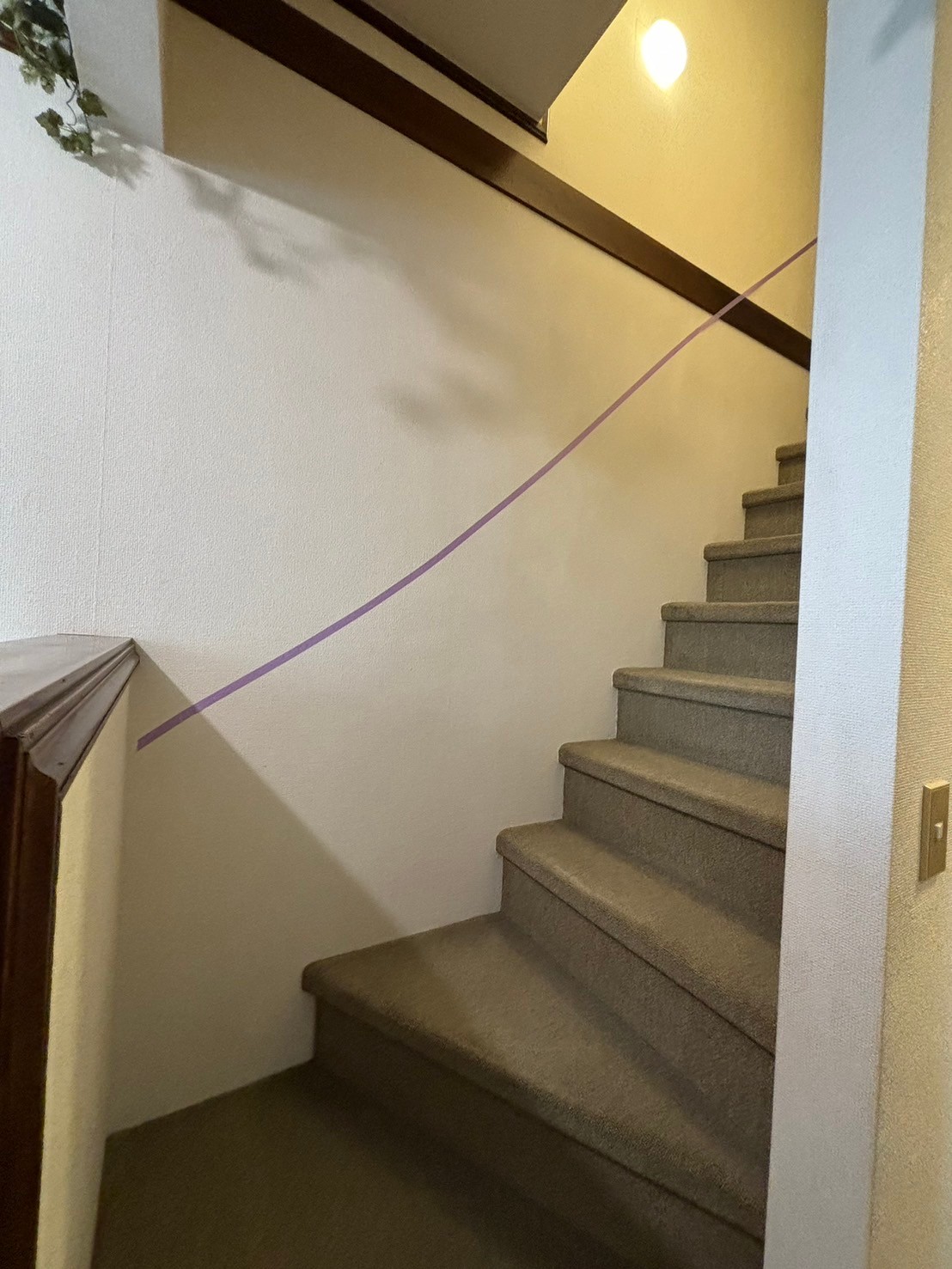 img1